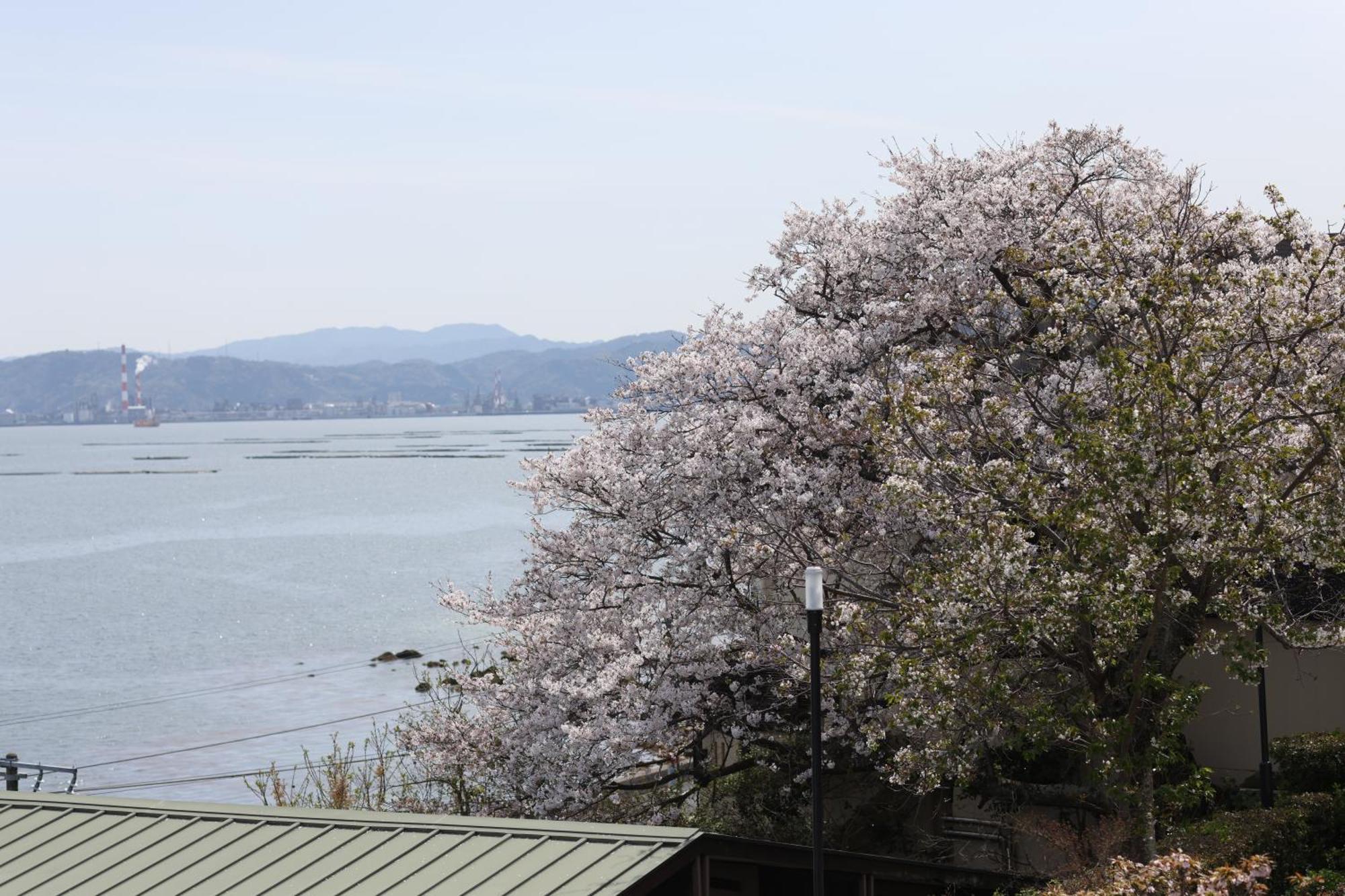Miyahama Grand Hotel Hatsukaichi Dış mekan fotoğraf